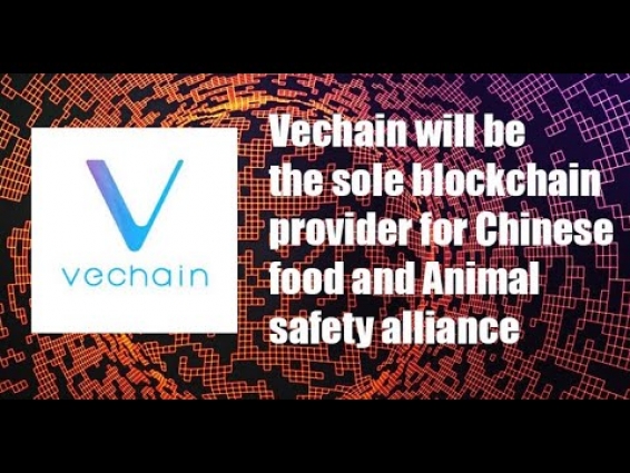 Vechain(VET) to be Sole Provider of Blockchain Tech to Chinese Food Safety Alliance