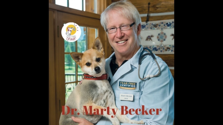 Full Interview – Dr. Marty Becker, “America’s Veterinarian”