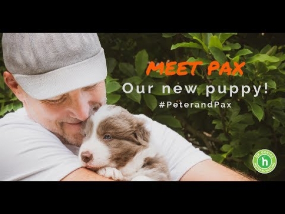 Meet our New Puppy! | Dr. Peter Dobias Holistic Veterinarian