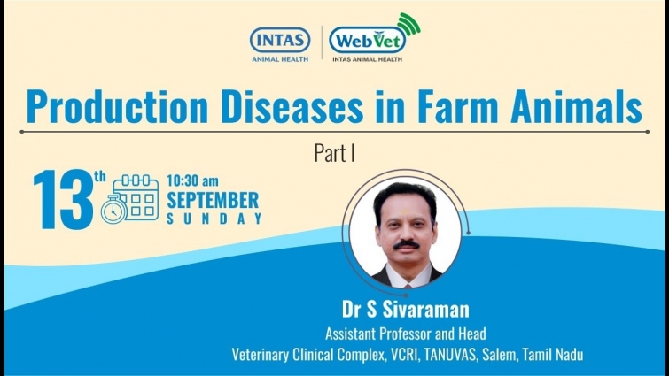 webvet – 10.30 am – 13 Sep