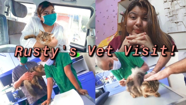 Rusty's first visit to the Vet!💉🐈 | Daily Vlog#93