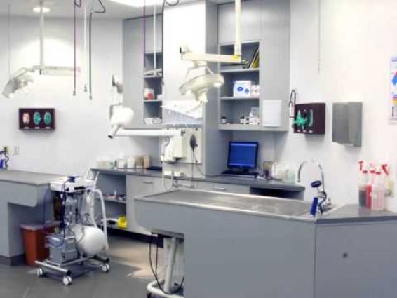 West Chelsea Veterinary Hospital, Veterinarian, New York, NY