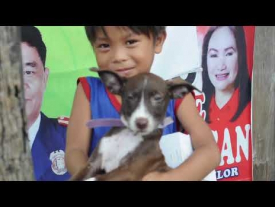 ALPHA VET (Love and Respect Animals)