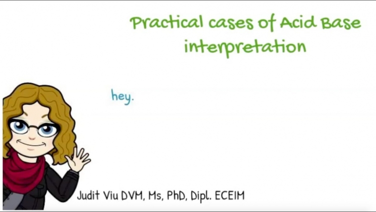 Acid base balance explained with clinical cases – Vet students