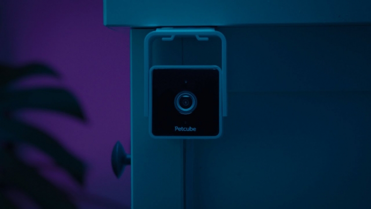 Introducing Petcube Cam – All-new Affordable Pet Camera With a Built-in Vet Chat
