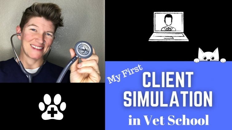 Week 4: My First Client Simulation in Vet School