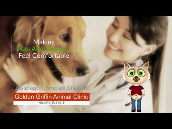 YOUTUBE VIDEO ADS FOR VETERINARY SERVICES – SAMPLE ONLY, FACEBOOK COVER CREATED BY BRILLIANT-BIZ