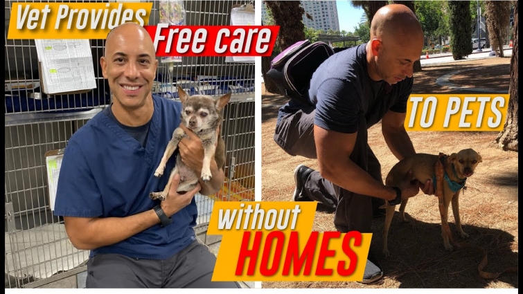 This Veterinarian Walks Around California And Helps Homeless People’s Animals For free