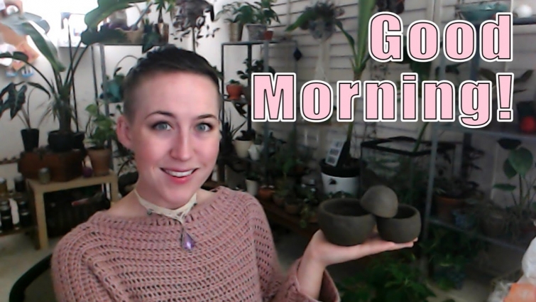 Taking the cat to the vet today! Make a tea & come for a chat!  | Last Minute Laura