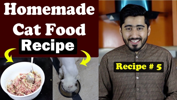 Raw Cat Food Recipe – Beef Diet || Vet Furqan Younas
