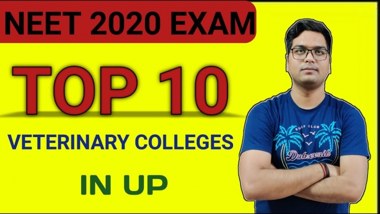 TOP10 VETERINARY COLLEGES IN UP