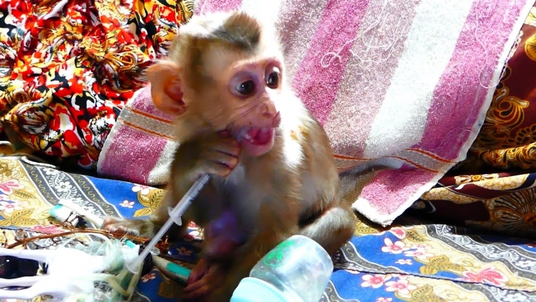 Ross wait Dad come find vet / at the countryside there is not / Dad buy medicine to treat himself