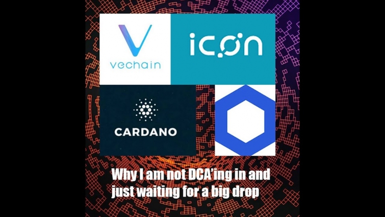 VET, ADA, LINK, ICX, why I'm waiting for the big dip and using DCA to buy