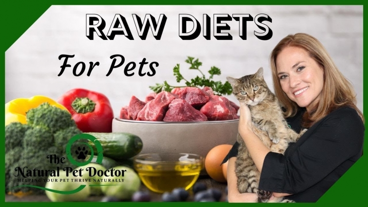 Is A Raw Diet Best For Your Dog & Cat with Dr. Katie Woodley – The Natural Pet Doctor