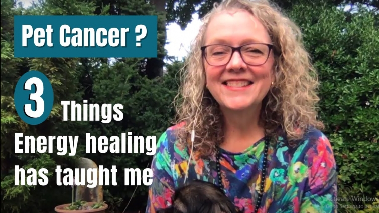 Pet Cancer – 3 Things to Know About Energy Healing