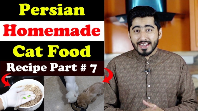 Persian – Homemade Cat Food Recipe || Healthy & Fluffy coat diet || Vet Furqan Younas