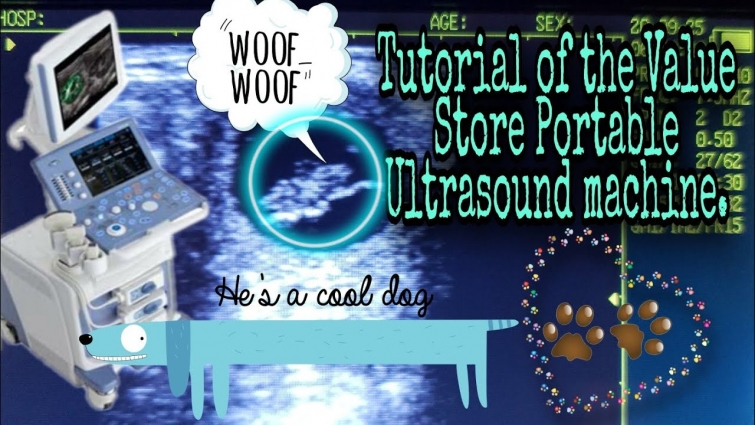 Tutorial of the Value Store Veterinarian Ultrasound Machine.Whelping puppies, Palpation & More!