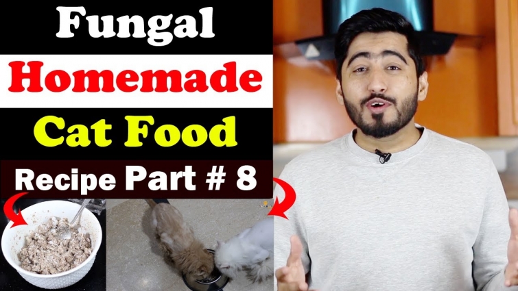 Persian – Homemade Food Recipe || Special For Your Pet || Vet Furqan Younas