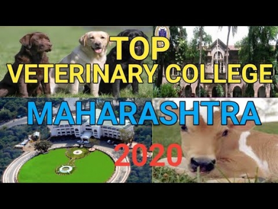 #veterinary_College #veterinary_maharashtra top veterinary College in maharashtra | best vet college