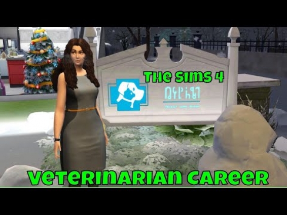 A day in the Veterinarian office (Private Office) The Sims 4