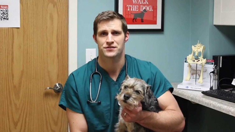 Dr. Eric Ruhland from St. Paul Pet Hospital on being a locally owned small business!