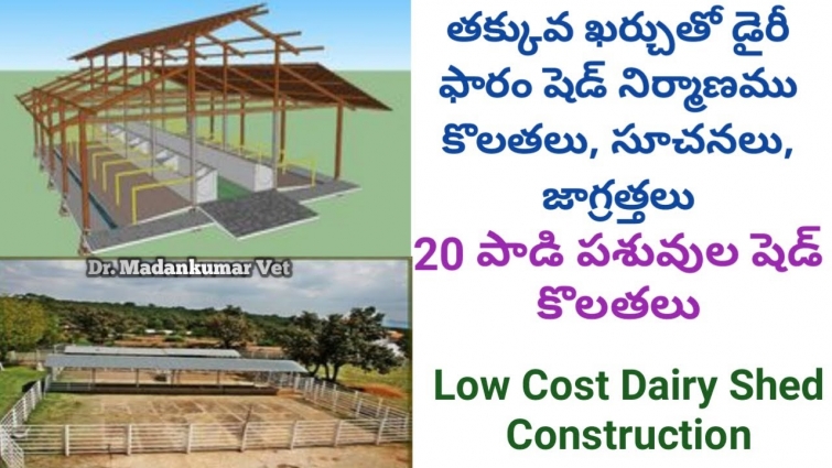 Low Cost Dairy Shed Construction | Measurements | Requirements | Suggestions |  Dr. Madankumar Vet