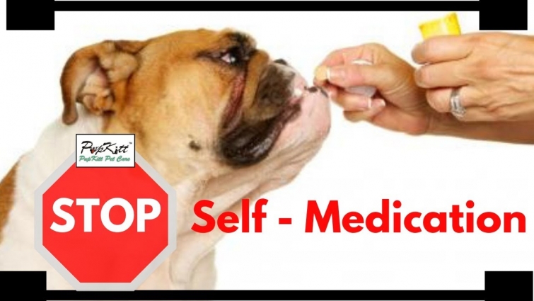 Dogs & Medication: Never Give Medication To Your Pet Without Consulting Veterinarian