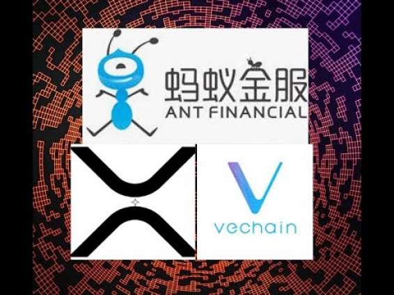 XRP, VET threatened by ANT Financial product, VTHO gets listed on Bitmart