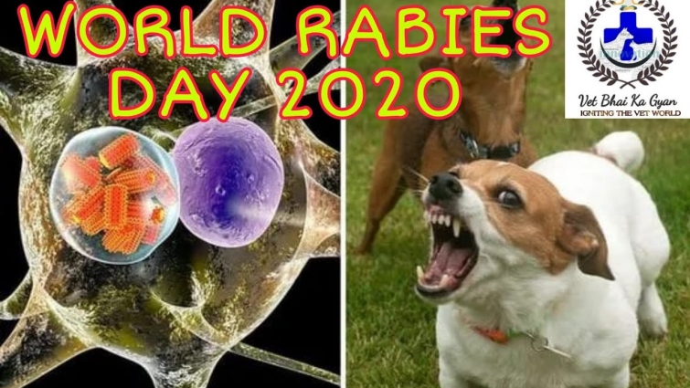 WORLD RABIES DAY 2020 ( AMAZING FACTS)