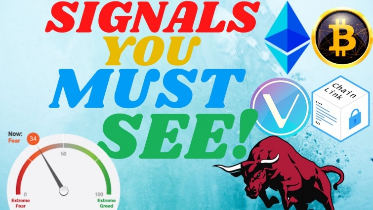 BTC/VET/LINK Analysis | Is Market Bullish NOW? Cryptocurrency in consolidation Ready to Move!