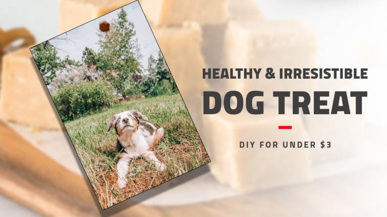 DIY Dog Treat That Your Furry Friends Will Love | Under $3