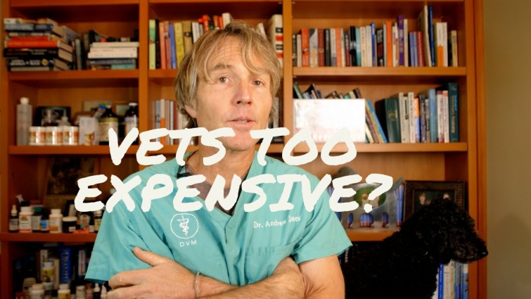 Veterinary Costs Now Too Expensive?