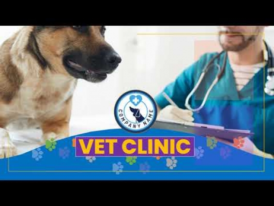 Vet Clinic Promotion Video | Vidmah