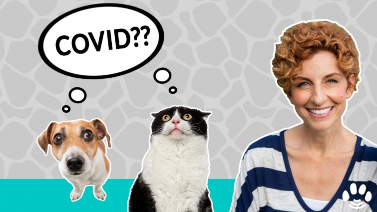 How to prepare for an awesome COVID 19 Vet Visit | Pet Psychic Danielle MacKinnon