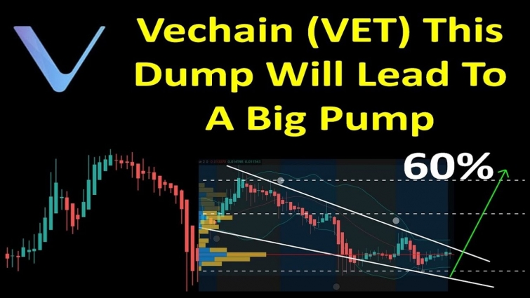 Vechain (VET) | This Dump Will Lead To A Big Pump