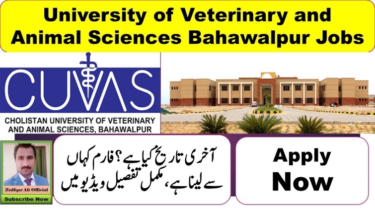 Cholistan University of Veterinary and Animal Sciences Bahawalpur Jobs