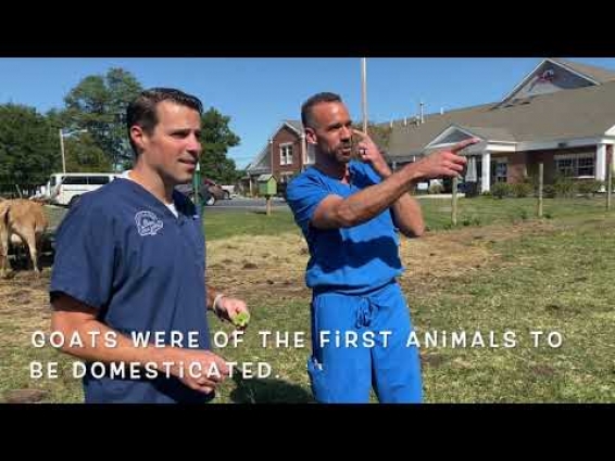 Bring the Kids to the Laptop! Welcome to Virtual Day Care–A Day in the Life of a Veterinarian!