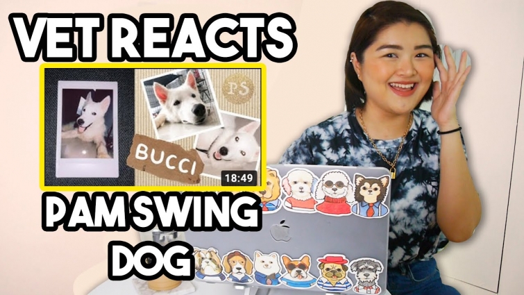 Vet Student Reacts to first time pet owner @Pamela Swing + TIPS!