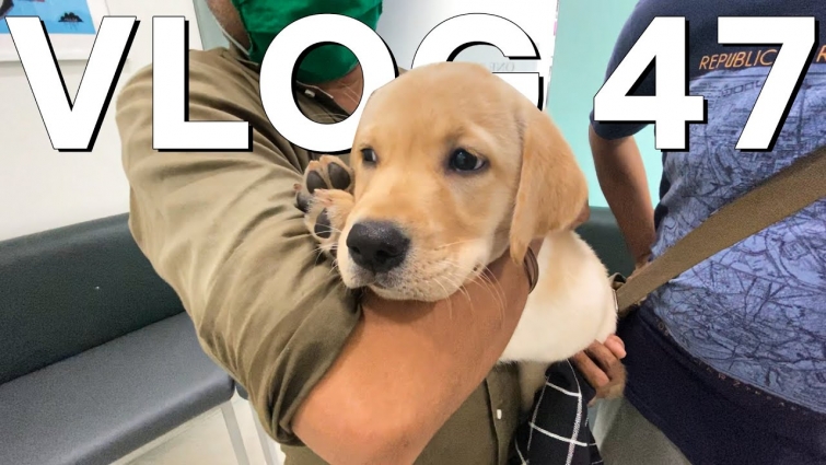 HAD TO TAKE HIM TO THE VET – VLOG 47