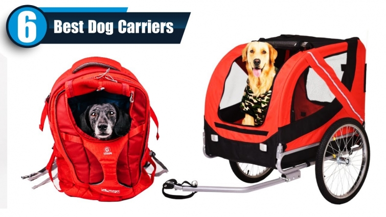 Best Dog Carriers | Top 6 Picks for 2020 #1