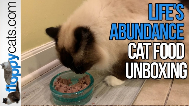 Life’s Abundance Cat Food Canned Pork and Duck Review Unboxing