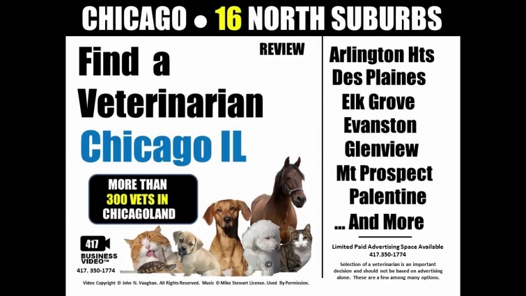 Find a veterinarian in Chicago IL North Suburbs   Pet Vet REVIEW