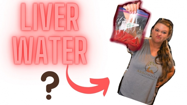 How to make liver water and Why you need it for your puppies!